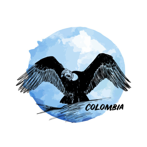 Logo Cafés de Especialidade Senzu Colombia Azul