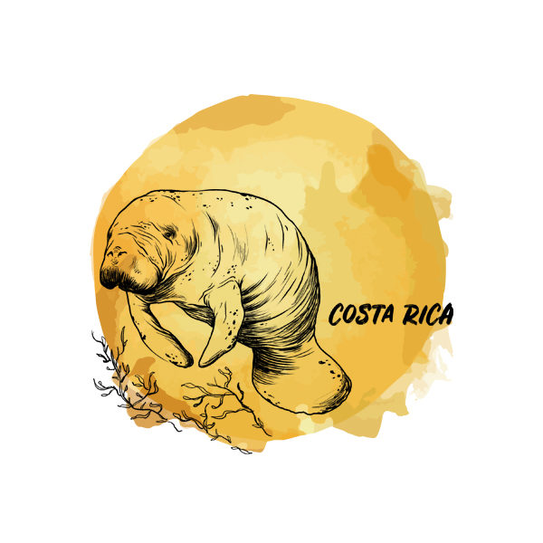 Logo Cafés de Especialidade Senzu Costa Rica Amarelo