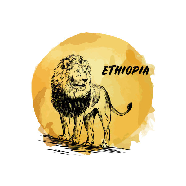 Logo Cafés de Especialidade Senzu Etiópia Amarelo