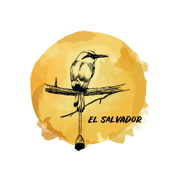 Logo Cafés de Especialidade Senzu El Salvador Amarelo