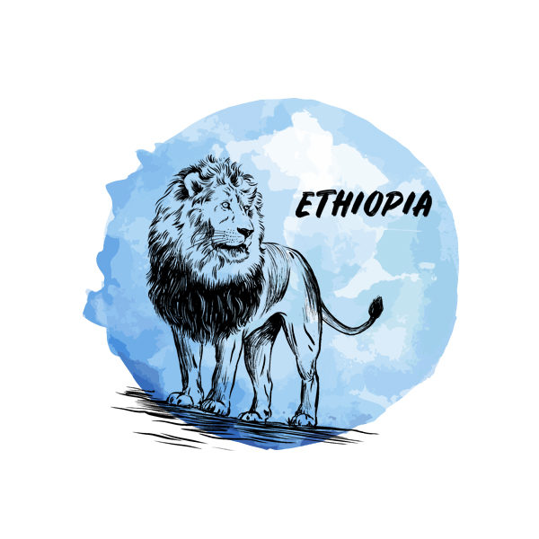 Logo Cafés de Especialidade Senzu Ethiopia Azul
